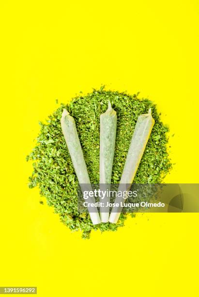 three big cannabis cigarettes on large pile of crushed marijuana isolated on yellow background, vertical view with copy space. - 大麻 マリファナ ストックフォトと画像