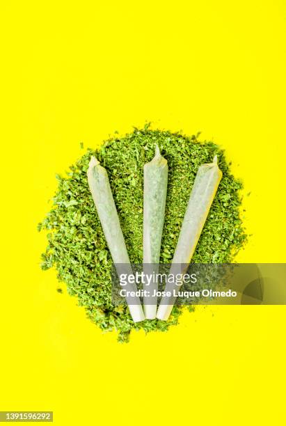 three big cannabis cigarettes on large pile of crushed marijuana isolated on yellow background, vertical view with copy space. - weed stock pictures, royalty-free photos & images
