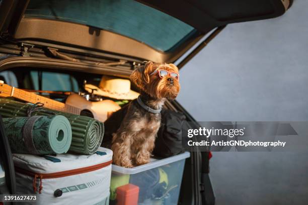 ready for a vacation! - vol fysieke beschrijving stockfoto's en -beelden