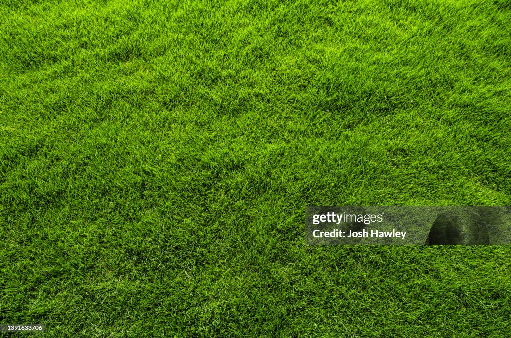 Close up of immaculate grass lawn