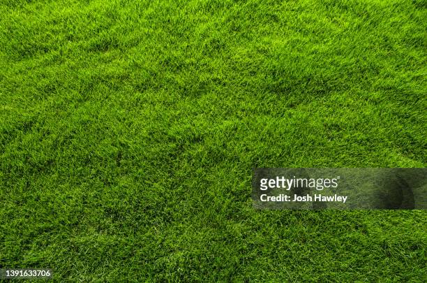 close up of immaculate grass lawn - gazon photos et images de collection