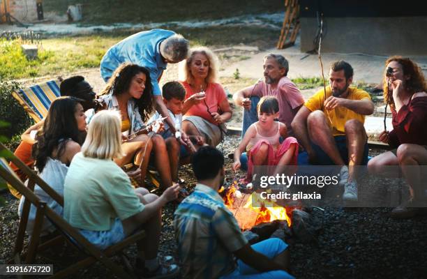 friends and family spending time by a campfire. - camp fire stock pictures, royalty-free photos & images