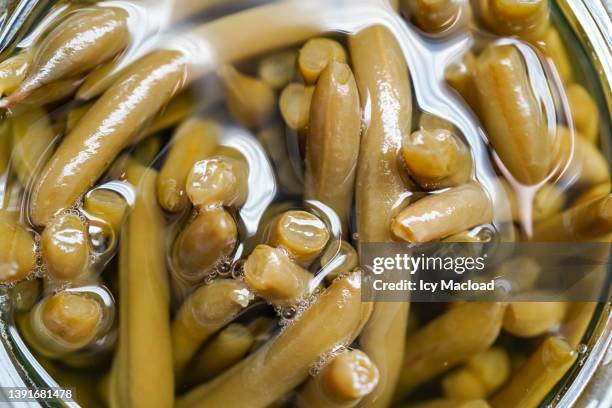 bundle of organic green beans without salt in its juice and a glass jar - fagiolino foto e immagini stock