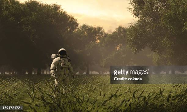 astronaut exploring green planet - jungle explorer stock pictures, royalty-free photos & images