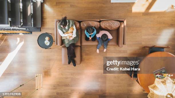 mother and children relaxed with dogs in the living room, aerial view - cuarto cenital fotografías e imágenes de stock