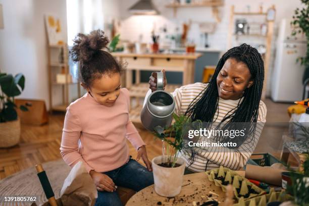 mujer mediana adulta plantando retoños en bandeja sobre mesa en casa - long sleeved fotografías e imágenes de stock