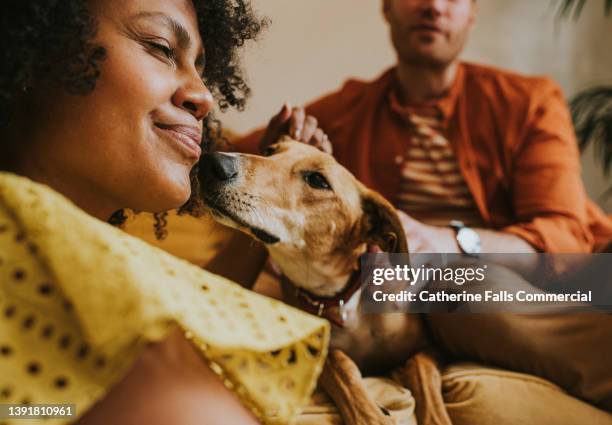 a woman enjoys a nuzzle with a friendly dog - black hairy women bildbanksfoton och bilder