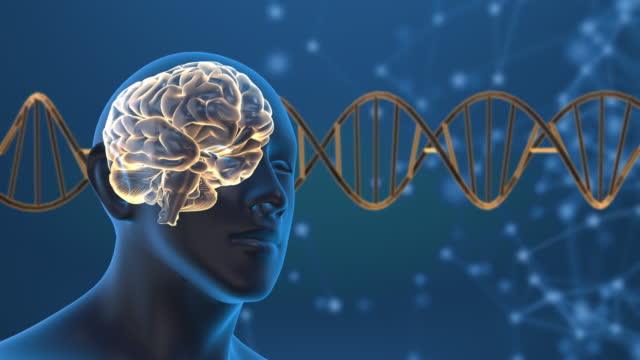 3d dna medical background with head and brain