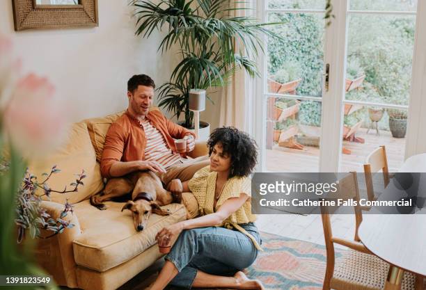 a young, interracial  couple relax together in a living room with their lurcher dog - monogamous animal behavior fotografías e imágenes de stock