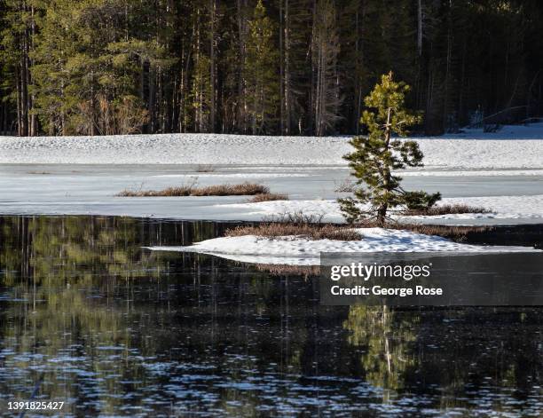 The snow is melting at Grass Lake, a small alpine lake along Highway 89 near Luther Pass, as viewed on April 7 in Hope Valley, California....