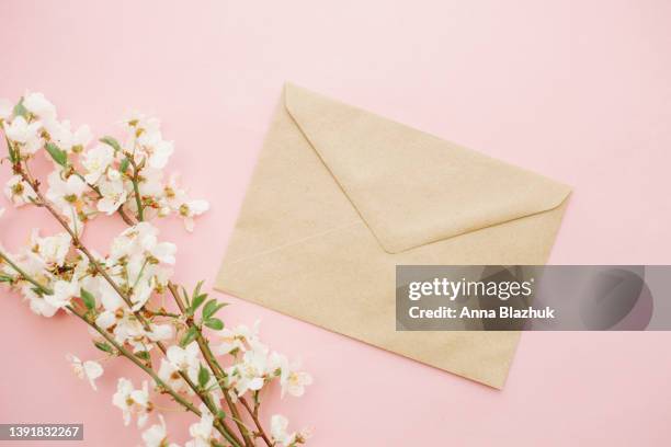 cherry tree blossom, branches with white spring flowers and envelope over pink background - letter envelope stock pictures, royalty-free photos & images