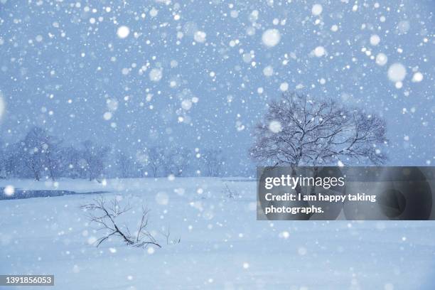 it snows on lake hibara - neve profunda imagens e fotografias de stock