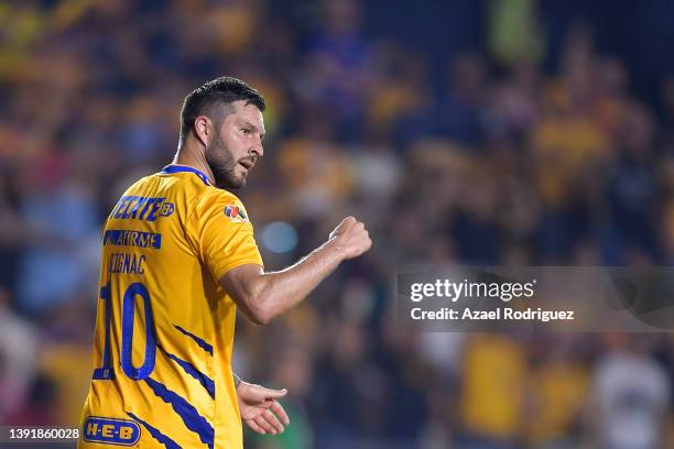 Andre-Pierre Gignac of Tigres celebrates after scoring his team's third goal during the 14th round match between Tigres UANL v Toluca as part of the...