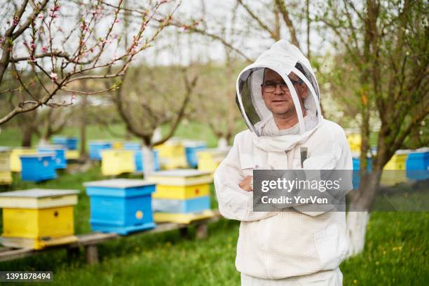 portrait of beekeeper at work - apiculture stock pictures, royalty-free photos & images