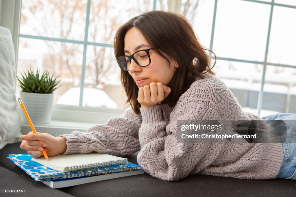 Teenager girl studying at home