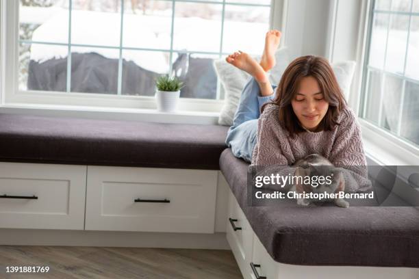 laying with cat by window - teen girl barefoot stock pictures, royalty-free photos & images