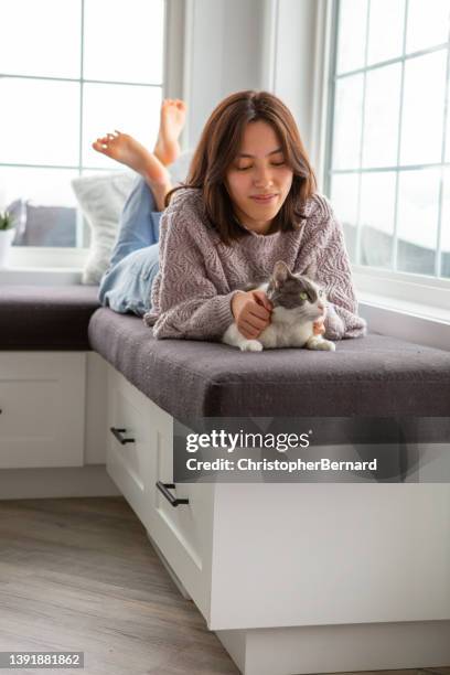 verlegen mit katze am fenster - barefoot girl stock-fotos und bilder