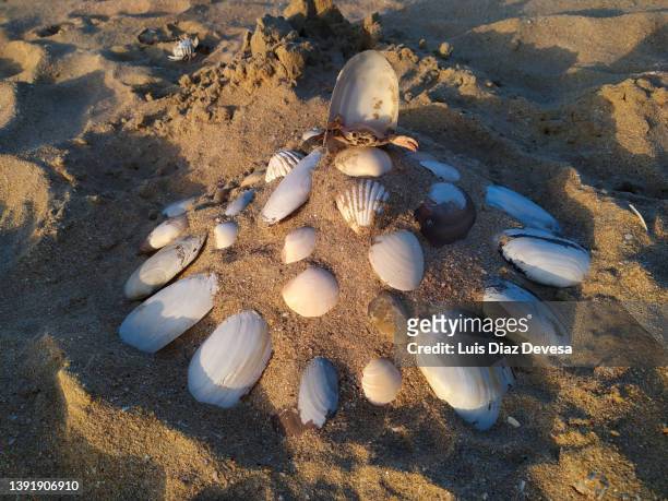 shells castle on la lanzada beach. - sandcastle stock pictures, royalty-free photos & images