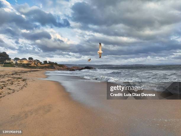 beach raeiros - perfect storm stock pictures, royalty-free photos & images