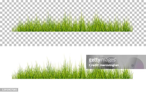 vector bright green realistic grass isolated on transparent background - grass stock illustrations