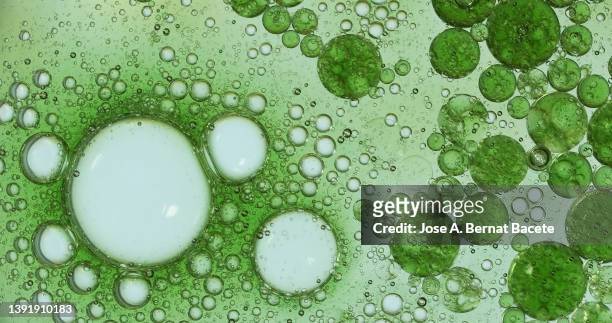 full frame, bubbles and drops of green liquid. - ameba 個照片�及圖片檔