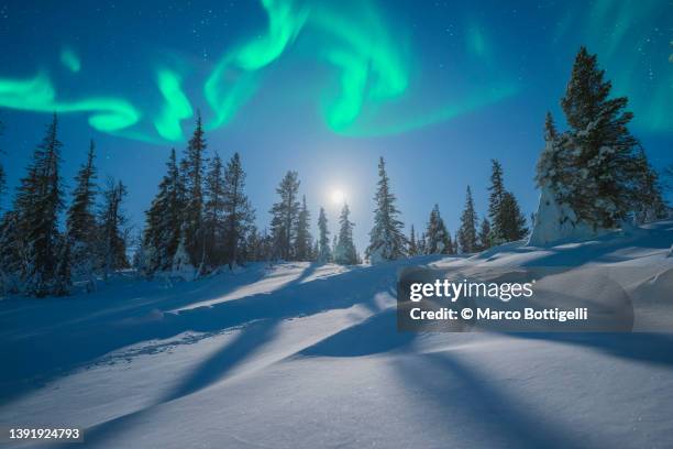 northern lights and moonlight in lapland - finnish nature stockfoto's en -beelden