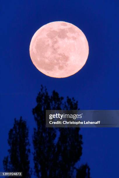 the exact super pink moon of april 2022, france - supermoon stock-fotos und bilder