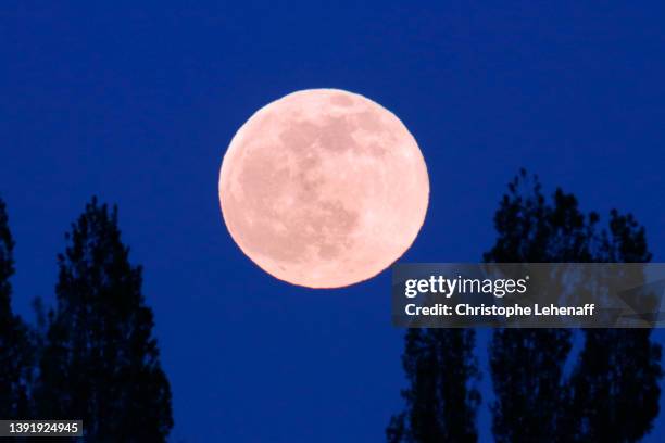 the exact super pink moon of april 2022, france - april stock pictures, royalty-free photos & images