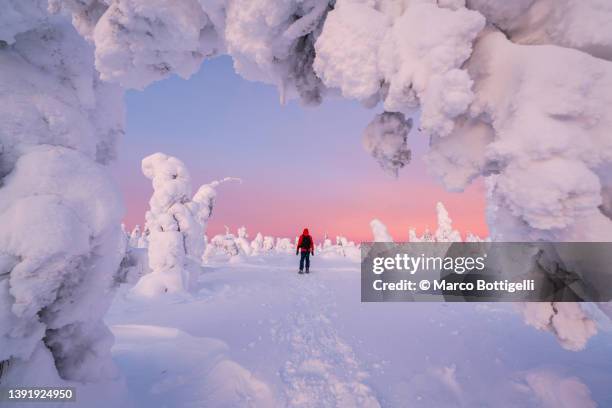 ice sculptures in finnish lapland - lapland finland stock pictures, royalty-free photos & images