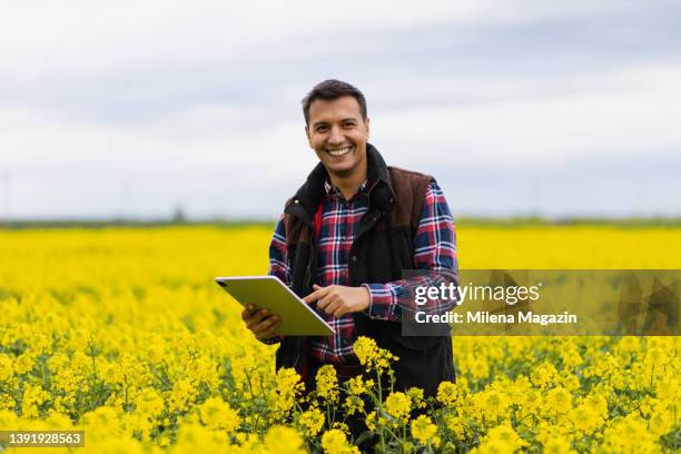 moderner junglandwirt mit tablette, der ein rapsfeld inspiziert - canola stock-fotos und bilder