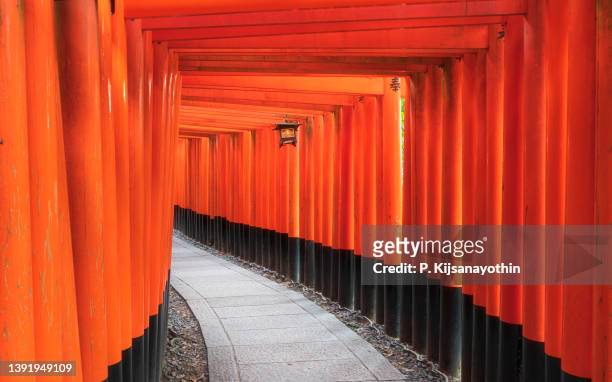 orange torii gates at the fushimi inari shrine, kyoto - shinto shrine stock pictures, royalty-free photos & images