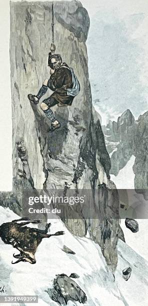 hunting in the high mountains, hunter climbing down to a dead deer - deer family stock illustrations