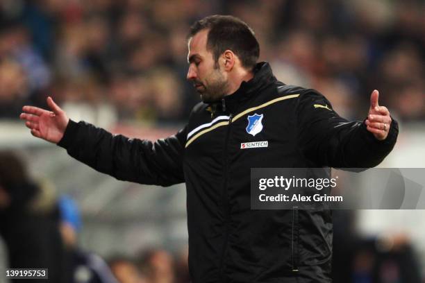 Head coach Markus Babbel of Hoffenheim reacts during the Bundesliga match between 1899 Hoffenheim and FSV Mainz 05 at Rhein-Neckar-Arena on February...