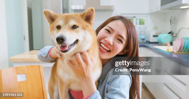 chica abraza perro con sonrisa - shiba inu fotografías e imágenes de stock