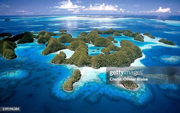 jellyfish lake - palau stock-fotos und bilder