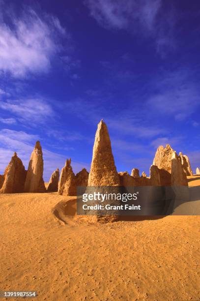 pinnacles in desert. - pinnacles australia stock-fotos und bilder