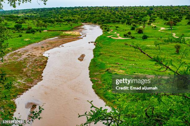 104 Tarangire River Stock Photos, HighRes Pictures, and Images Getty