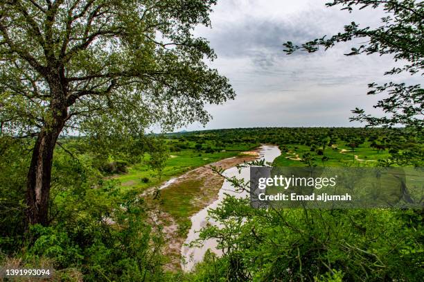 104 Tarangire River Stock Photos, HighRes Pictures, and Images Getty