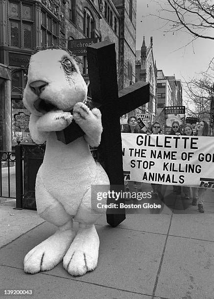 Red Rabbit Protest 21 Us Peta Rabbit Protest Stock Photos, High-Res Pictures, and Images ...