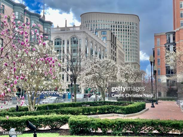 Boston Spring Photos Boston Spring Photos and Premium High Res Pictures - Getty Images