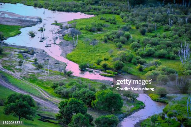 aerial view of river and trees in meadow - brooke bliss stock pictures, royalty-free photos & images