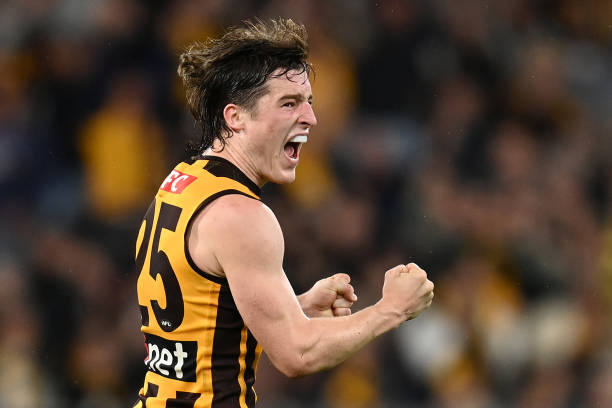 Josh Ward of the Hawks celebrates winning the round five AFL match between the Hawthorn Hawks and the Geelong Cats at Melbourne Cricket Ground on...