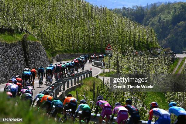 General view of the peloton competing during the 45th Tour of the Alps 2022 - Stage 1 a 160,9km stage from Cles to Primiero-S. Martino di Castrozza...