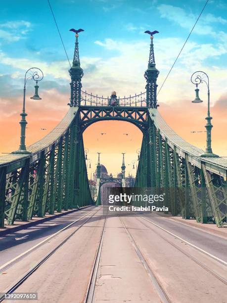 the liberty bridge in budapest - hungary landscape stock pictures, royalty-free photos & images