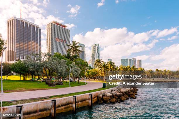 miami downtown skyline with skyscrapers and palm trees by the ocean, florida, usa - miami skyline stock-fotos und bilder