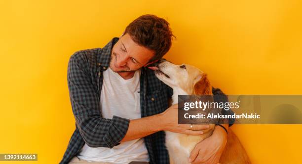 portrait of a dog and his favourite human - man and pet stock pictures, royalty-free photos & images