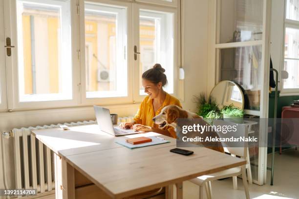 trabajando con mi pequeño asistente a mi lado - single woman happy fotografías e imágenes de stock