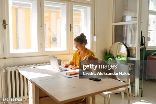 Travailler avec mon petit asistent à mes côtés Travailler avec mon petit asistent à mes côtés