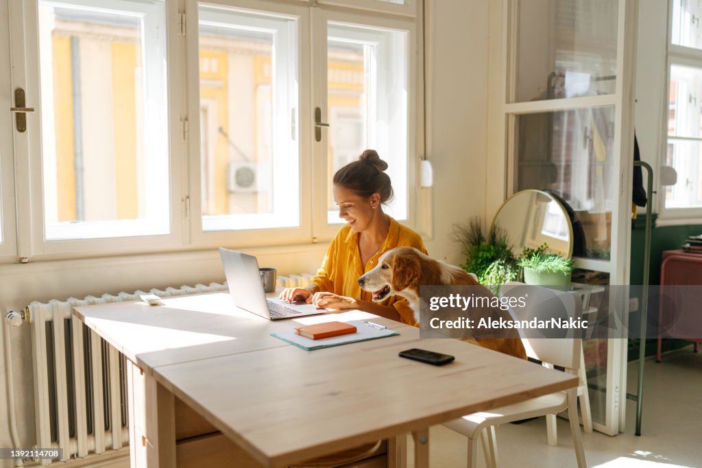 私のそばで私の小さなアシストと働く