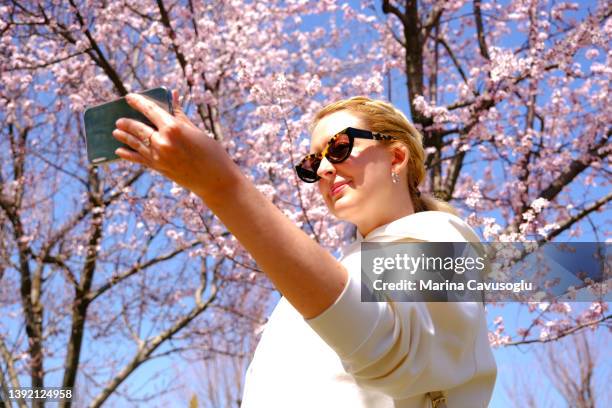 woman taking pictures of spring pink sakura blossoming tree. - 花見 ストックフォトと画像